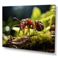 thumbnail image 2 of Designart "Insect Likeness" Animals Wall Decor, 2 of 5