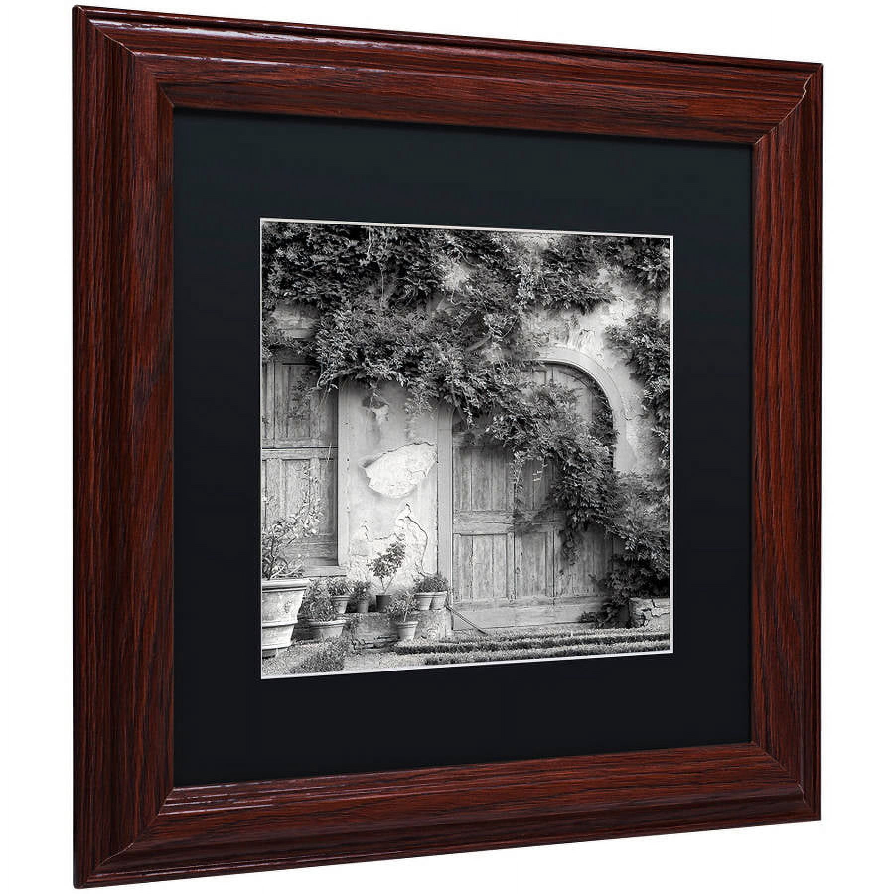 Trademark Fine Art "Tuscany VI" Canvas Art by Alan Blaustein, Black Matte, Wood Frame