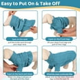 thumbnail image 5 of ZDM Small Dog Pullover Sweater, Cold Weather Cable Knitwear, Classic Turtleneck Thick Warm Clothes for Chihuahua, Bulldog, Dachshund, Pug (Peacock Blue, Small), 5 of 6