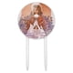 Acrylic Labyrinth Movie Art Goblin King Jareth David Bowie Cake Topper acrylic-labyrinth-movie-art-goblin-king-jareth-david-bowie-cake-topper