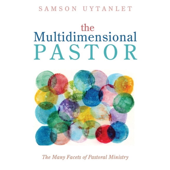 The Multidimensional Pastor (Paperback)