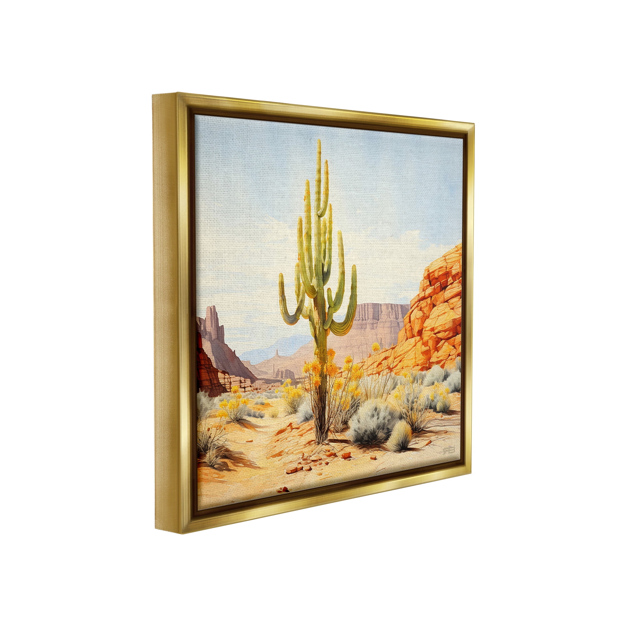Stupell Industries Desert Canyon Mesa Landscape Painting Gold Floater Framed Canvas Art Print Wall Art, 18 x 18