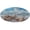 style-5, variant on Beach Seashell Starfish Round Small Area Rug, Print Non Slip Washable Floor Mat, Soft Throw Rug for Living Room, Powder Room Entryway, Bathroom, Bedside