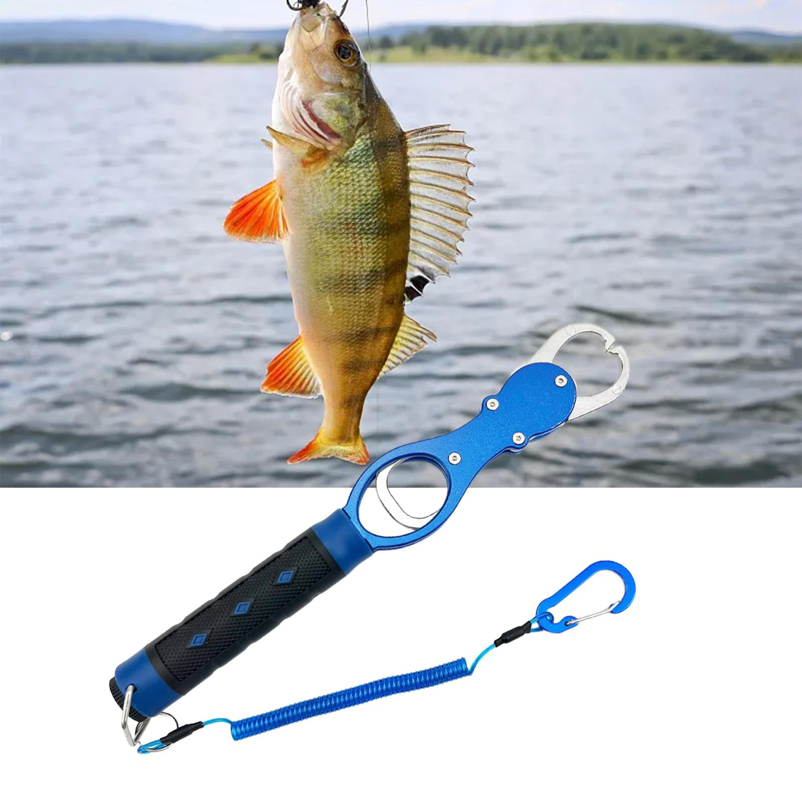 Piscifun Fish Lip Gripper with Digital Scale, Water-Resistant Lip Grip with  Electronic Digital Scale, Fish Grabber Stainless Steel Clip Fish Control  Black