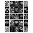 thumbnail image 2 of 50 Pcs Flower Floral Aesthetic Black White Collage Kit Wall Art Prints A6 Set Pack 15x10 cm (6x4") Wall Home Student Boy Girl Teen Room Elegant, 2 of 5