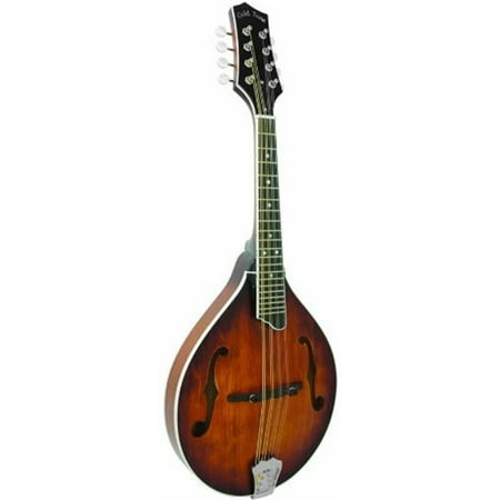 Gold Tone Solid Top A-Style Mandolin w/ Gig Bag