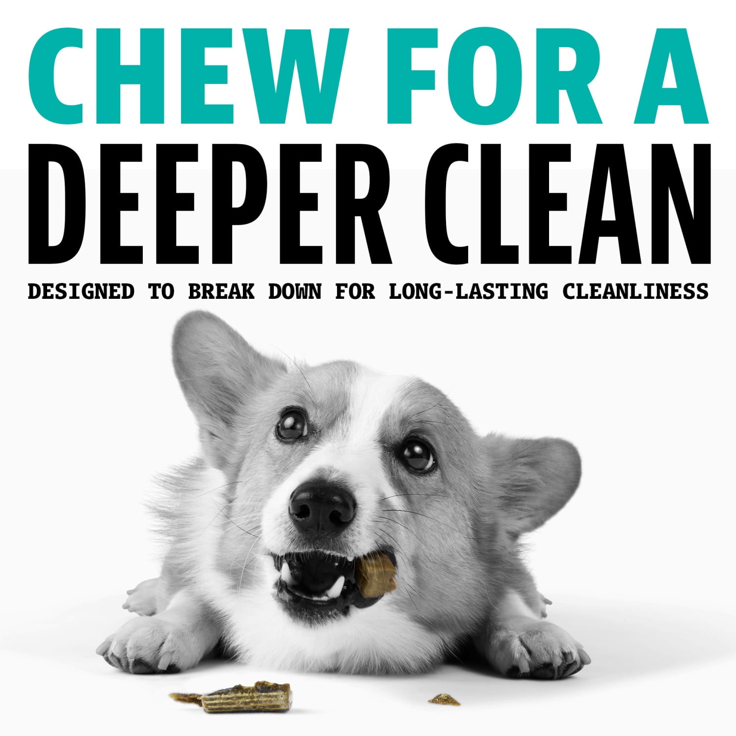 Dinovite Dental Chews for Dogs Small 9 Count