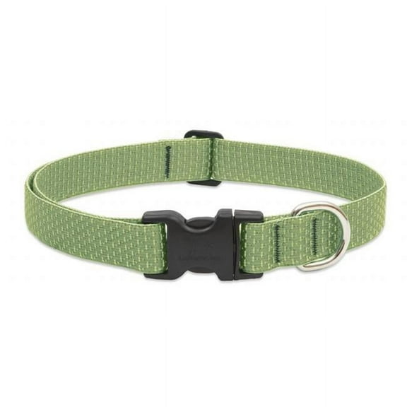 1in Moss 12-20 Adj Dog Collar