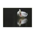 thumbnail image 1 of Canvas Gallery Wraps Unframed, 1 of 7