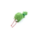 thumbnail image 4 of Cat Chew Toy Plush Interactive Cute Kitten Teething Toy Cat Play Toy for Indoor, 4 of 6