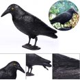 thumbnail image 1 of 1 Uds. Cuervo, espantapájaros de plástico negro, repelente de palomas para jardín, repelente de aves, antipalomas para defensa de balcón, palomas, gorriones, antipájaros, espantapájaros, 1 of 5