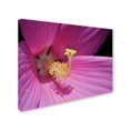 thumbnail image 3 of Trademark Fine Art "Inside a Pink Hibiscus" Canvas Wall Art by Kurt Shaffer, 3 of 4