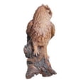 thumbnail image 3 of Búho cornudo de Figuine Hi-Line Gift Ltd., 145 pulgadas, 3 of 4