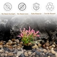 thumbnail image 4 of Plantas de Acuario de Plástico Pequeñas y Únicas para Accesorios de Tanque de Peces, Decoraciones para Acuarios en Rosa y Verde, 4 of 6