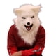 thumbnail image 1 of Cubierta De Cara De Boca Móvil De Halloween Cubierta De Cara De Felpa Artificial Fiesta De Halloween Cosplay Disfraz Accesorios De Vestir ANGGREK  Universal, 1 of 8