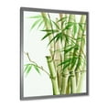 thumbnail image 2 of Designart 'Detail of Dark Green Bamboo and Leaves II' Traditional Framed Art Print, 2 of 4