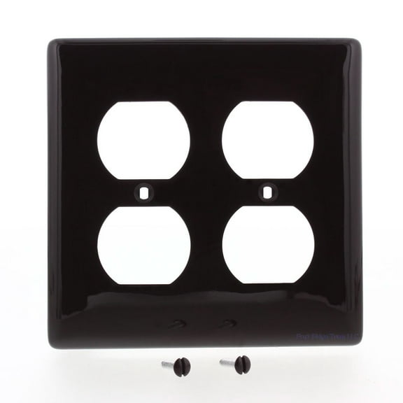 Hubbell Brown 2-Gang Duplex Receptacle Nylon Wallplate NP82