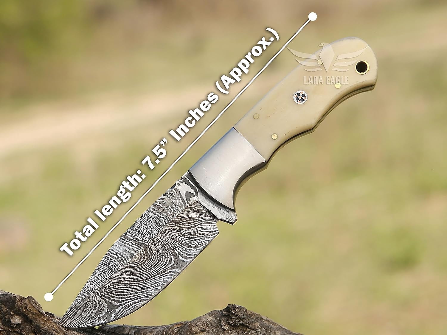 Lara Eagle Damascus Hunting Knife - Fixed Blade Handmade Skinner with Sheath - 7.5 inch Survival Knife - Camel bone Handle with mosaic pin