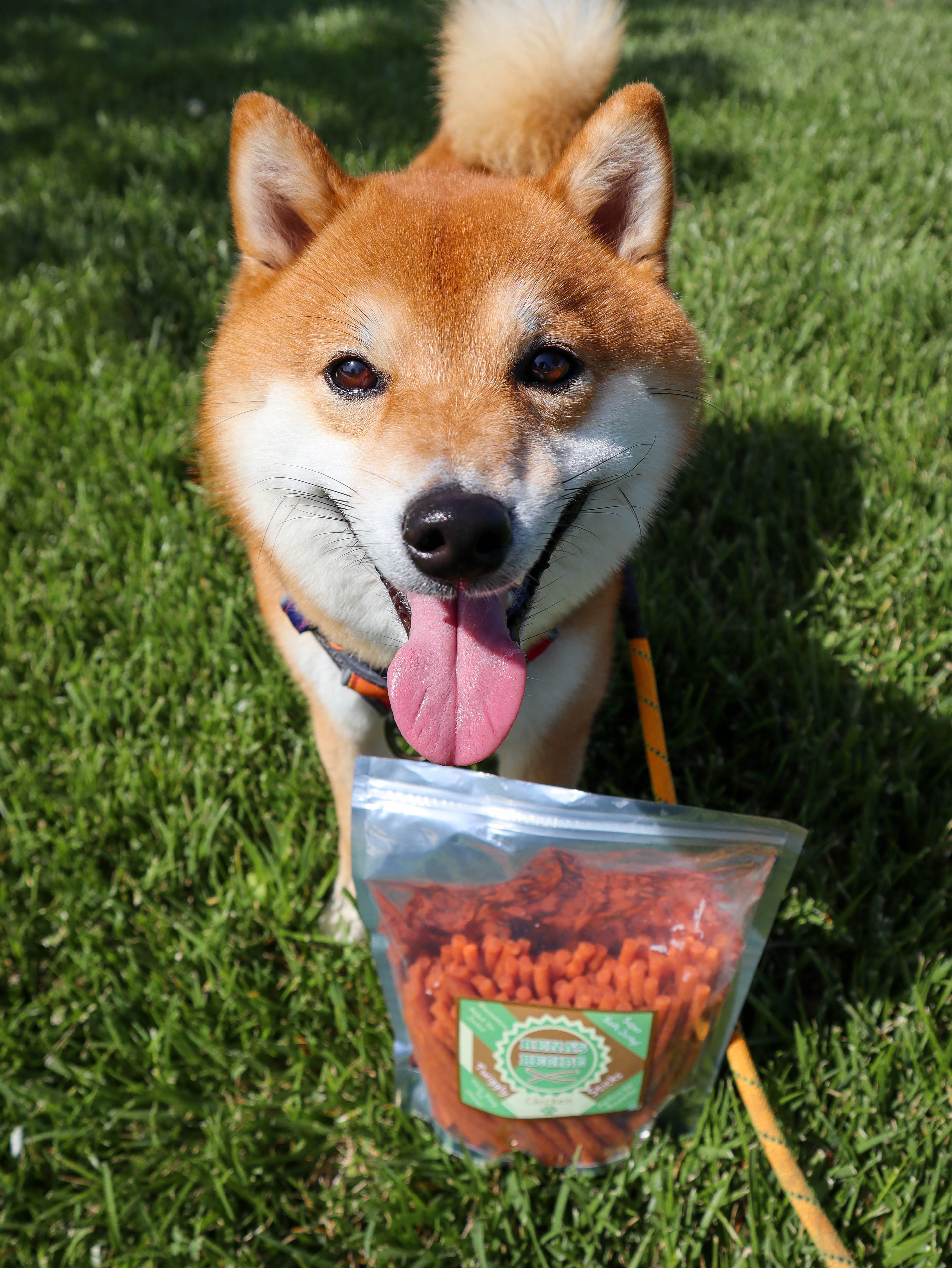 Rena's Recipe Chicken Twiggly Sticks Dog Treats 24 oz Soft Chews Easy to Chew Senior Dogs High Protein