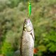 thumbnail image 3 of Señuelo de escalada de ondas, 12,5 cm, 20g, Multicolor, doble, tres ganchos, plástico, ojo biónico, señuelo de pesca para pesca, 3 of 5