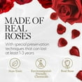 thumbnail image 4 of GLAMOUR BOUTIQUE Preserved Roses in a Box - Valentines Day Gifts for Her & Mom, 4 Roses Flowers Decor for Birthday Gift, Cased in A Square Gift Box with Lid, 4” x4” x5 - Red, 4 of 5