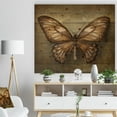 thumbnail image 3 of Designart 'Vintage Butterfly ' Vintage Print on Natural Pine Wood, 3 of 3