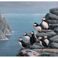 thumbnail image 2 of Pinguins Poster Print by Jan Weenink (12 x 12), 2 of 2