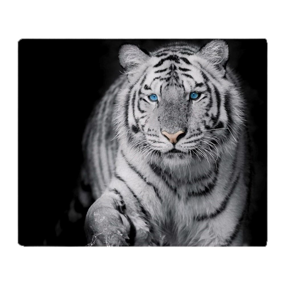 CafePress White Tiger Soft Fleece Throw Blanket, 50"x60" Stadium