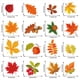thumbnail image 3 of 12X AccióN de Gracias Hojas de OtoñO Adhesivos para Ventana CalcomaníAs para Ventana Adhesivos de OtoñO para Ventana de Vidrio DecoracióN de OtoñO Estacional, 3 of 4