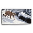 thumbnail image 2 of Epic Art 'Soft Snow-Cougar' by Ron Parker, Acrylic Glass Wall Art, 48"x24", 2 of 8