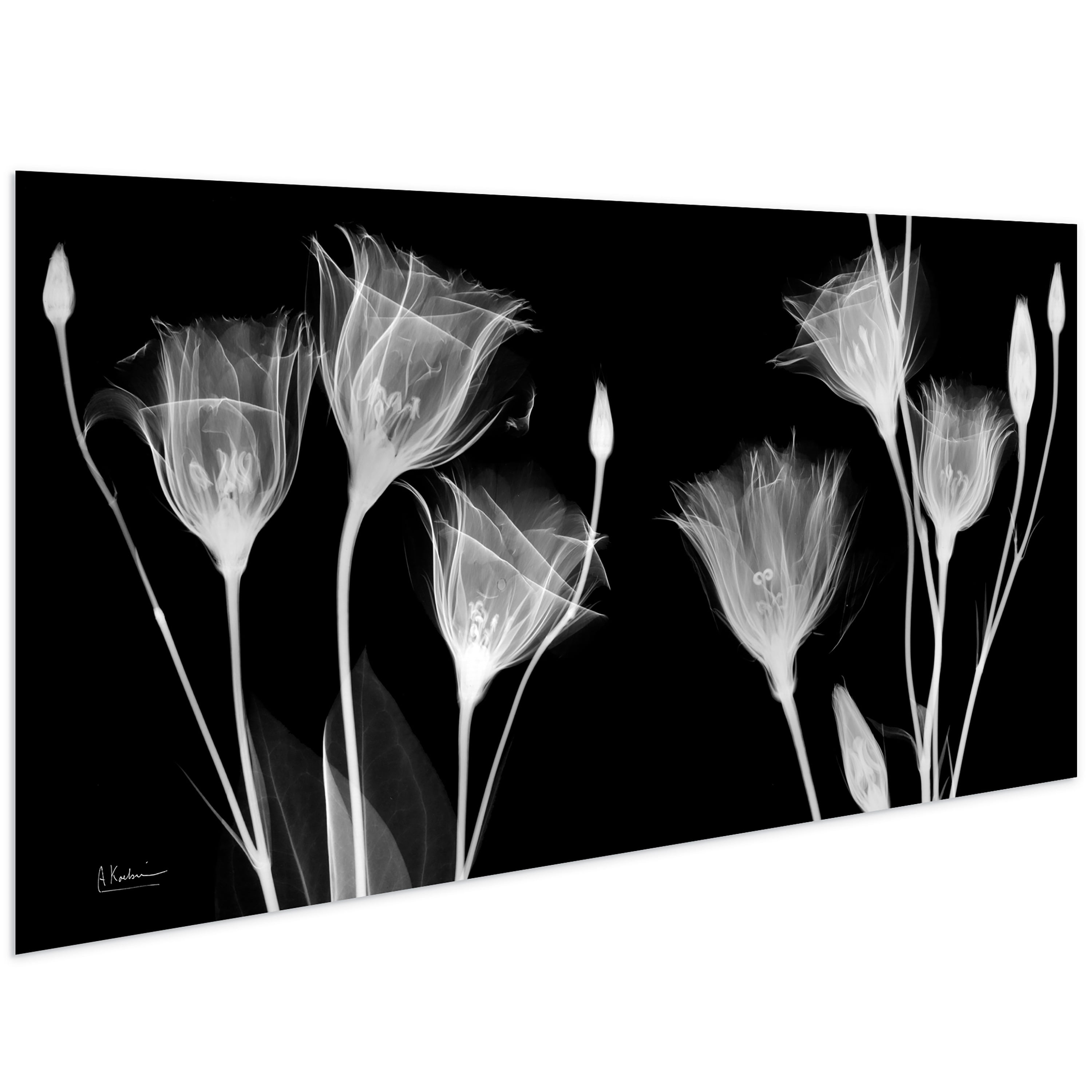 Flower 48 in x 24 in Painting Art Prints, by Empire Art