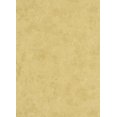 thumbnail image 1 of MODENA - Rouleau de Papier Peint Classique Floral Élégant Beige, 1 of 1
