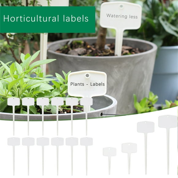 Clearance Tyidzon Plant Labels Flower Inserting Ground Card, Plant Tags Water Proof Flower Potting Name, Markers Record Plant Time Name