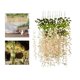 thumbnail image 5 of 12 Unids Flores Artificiales Sunnimix Glicina de Simulación Cuerda Plantas Colgantes Hiedra Seda Ratta Rosa claro, 5 of 8