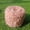 Lotus root pink, variant on 50g (Off White) Soft Plush Wool Acrylic Fancy Loop Yarn for Doll Hair Making,Crochet Knitting,Needle Felting Doll Hair | Curly Hair Coils of Wool Felt Carded Sheep Wool,Roving,Fiber