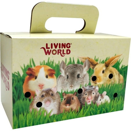 Living World Pet Carrier Carboard Box
