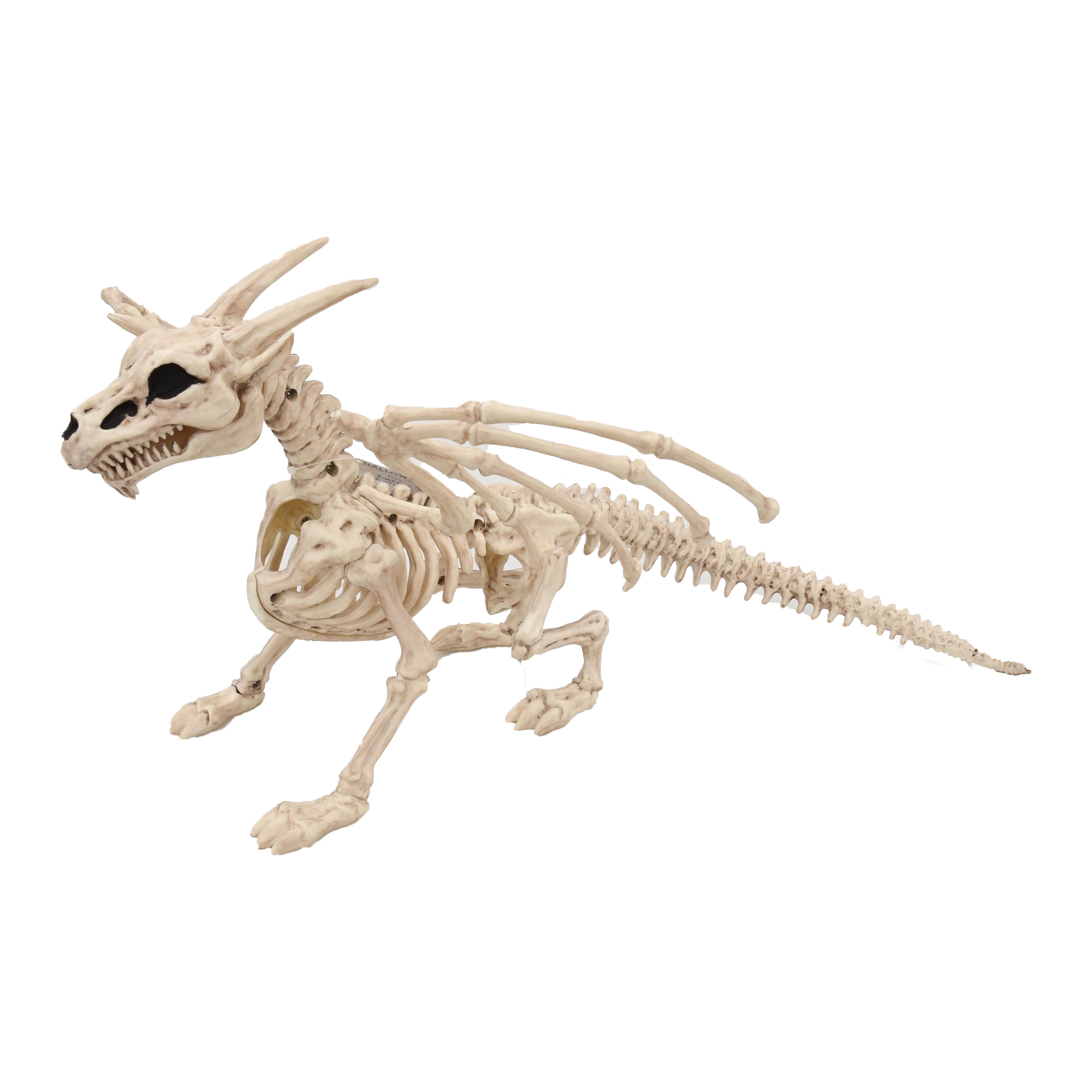dragon skeleton toy