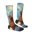 thumbnail image 4 of Lsque Sunshine Cloud Bulldog Printed Crew Socks Men's Women's LightWeight Thin Casual Calf Socks ,Knee High Socks,Cotton Socks, 4 of 9