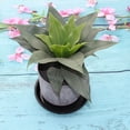 thumbnail image 5 of Tong Round With Flat Rim And Saucer For Indoor Outdoor Modern Decorative Planter, 5 of 5