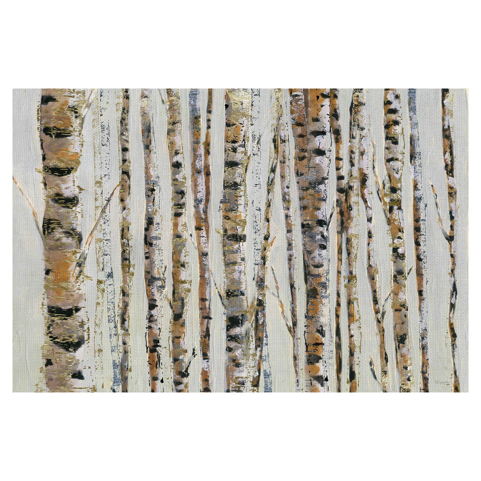 Birch Bling by Katrina Craven Wrapped Canvas Painting Art Print