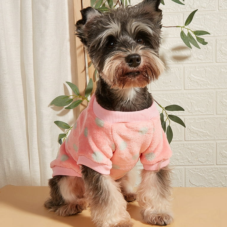Winter Warm Fleece Sweater for Small Dog Girl Chihuahua Yorkies, Tiny Puppy  Clothes, Cute Female Dog Sweaters Pet Shirt 