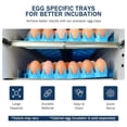 thumbnail image 2 of Universal Chicken Egg Trays (6 pack), 2 of 7