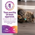 thumbnail image 2 of SmartyKat Flutter Balls Set of 2 Plush Catnip Ball Cat Toys, 2 of 9
