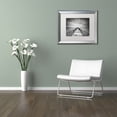 thumbnail image 4 of Trademark Fine Art "Withstand" Canvas Art by Michael de Guzman White Matte, Silver Frame, 4 of 5