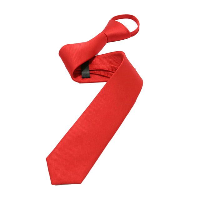 Cravate Nouée pour Hommes et Cravate Pré-Nouée pour Garçons