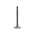 thumbnail image 2 of DNJ IV650A Intake Valve Fits Cars & Trucks 90-93 Infiniti Q45 4.5L V8 DOHC 32v, 2 of 4