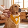thumbnail image 2 of Pet Tuxedo Bandana with Bow Tie Adjustable Formal Dog Cat Suit Bib Scarf Cute Costume Accessory for Wedding Birthday Holiday Party Pet Photoshoots,1pack, 2 of 4