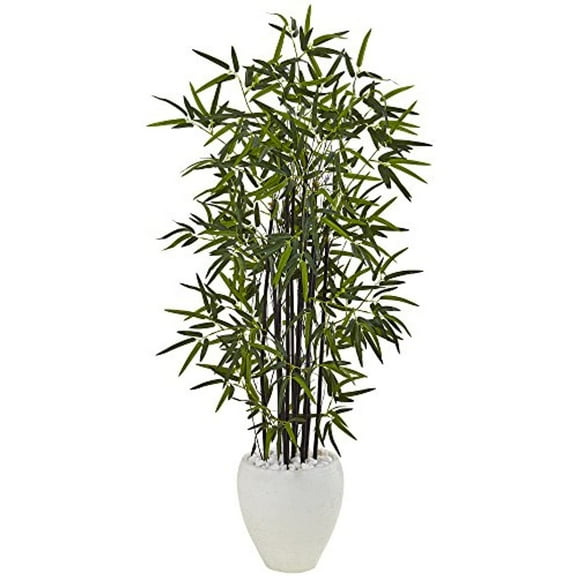 5’ Black Bamboo Tree in White Oval Planter