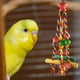 thumbnail image 3 of Juguete para masticar Sunnimix Bloques de madera para loros Cuerda de cuerda de mordedura de loro, 3 of 8
