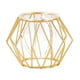 thumbnail image 2 of Jarrón Hidropónico de Vidrio Decorativo Jlh250205002 | Marco de Hierro | Maceta de Vidrio Transparente para Plantas Acuáticas de Hiedra Verde | Decoración Moderna para El Hogar | Decoración para Sala, 2 of 6